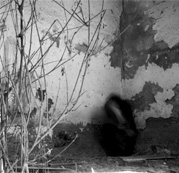 © Greer Versteeg © Greer Versteeg