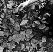 © Greer Versteeg © Greer Versteeg