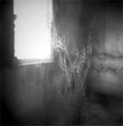 &copy; Greer Versteeg