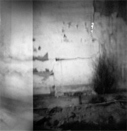 © Greer Versteeg © Greer Versteeg